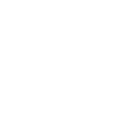 Logo ORP white